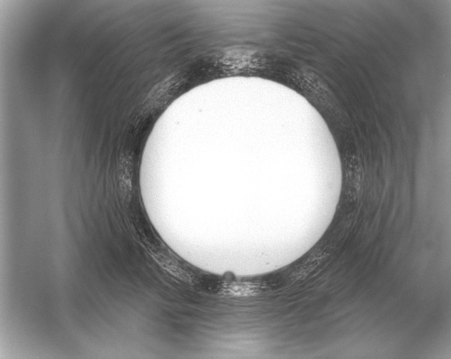 X0000051920710200507222134