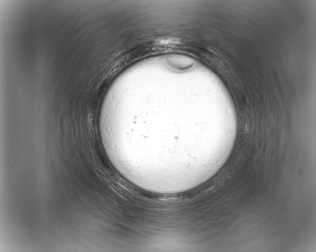 X0000051920711200507222134