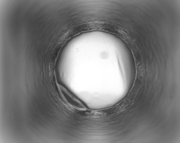 X0000051920712200507222134