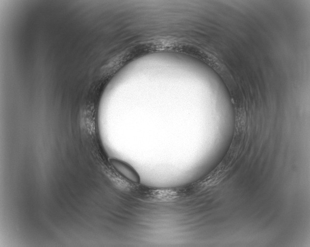 X0000051920719200507222134