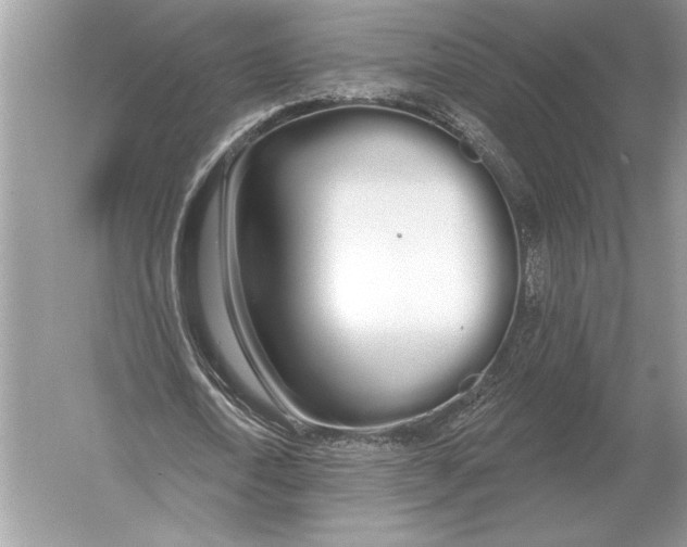 X0000051920722200507222133