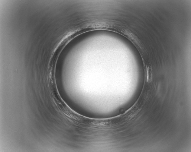 X0000051920723200507222133