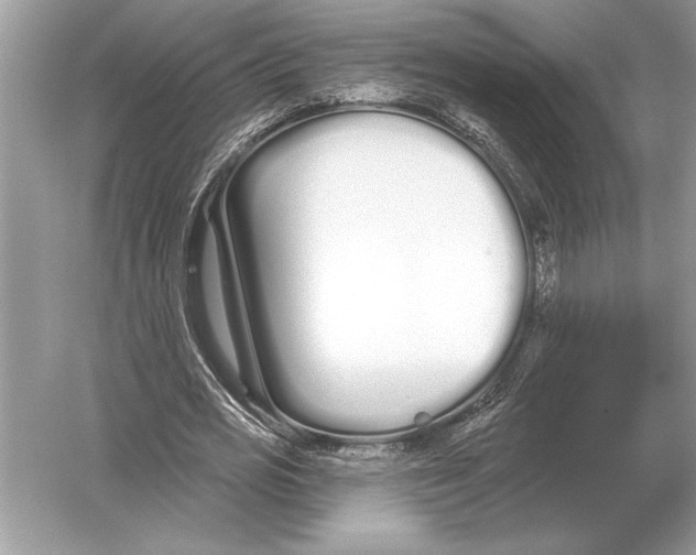 X0000051920725200507222133