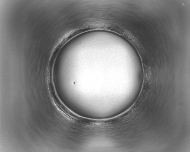 X0000051920726200507222133