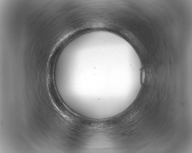 X0000051920728200507222134