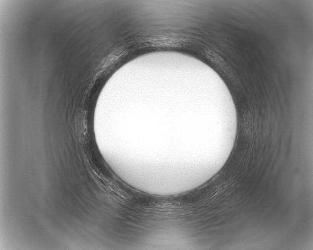 X0000051920731200507222134