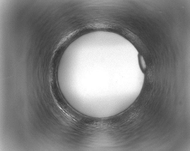 X0000051920732200507222134