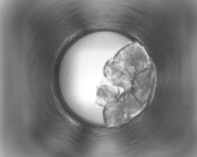 X0000051920733200507222134