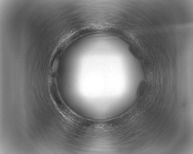 X0000051920736200507222134