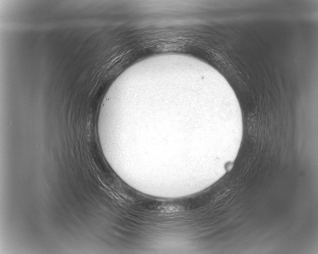 X0000051920741200507222134