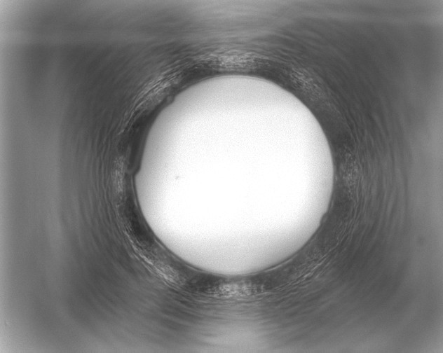 X0000051920744200507222134