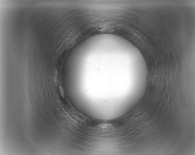 X0000051920748200507222134