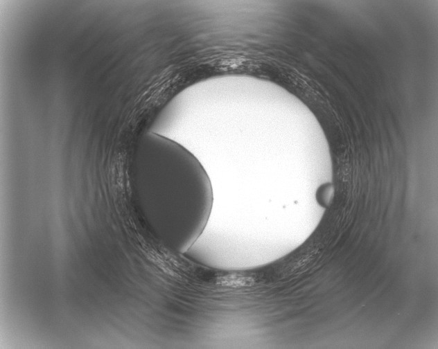 X0000051920754200507222134