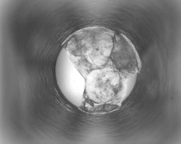 X0000051920761200507222134