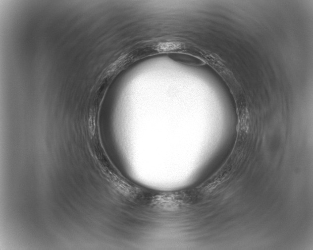 X0000051920763200507222134