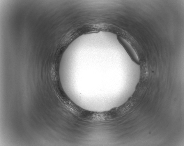 X0000051920764200507222134