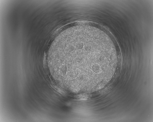 X0000051920765200507222134