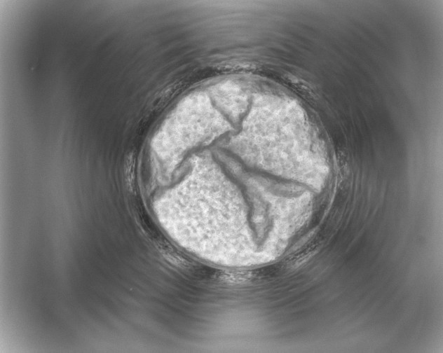 X0000051920767200507222134