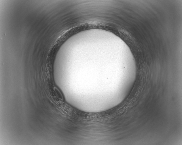 X0000051920776200507222133