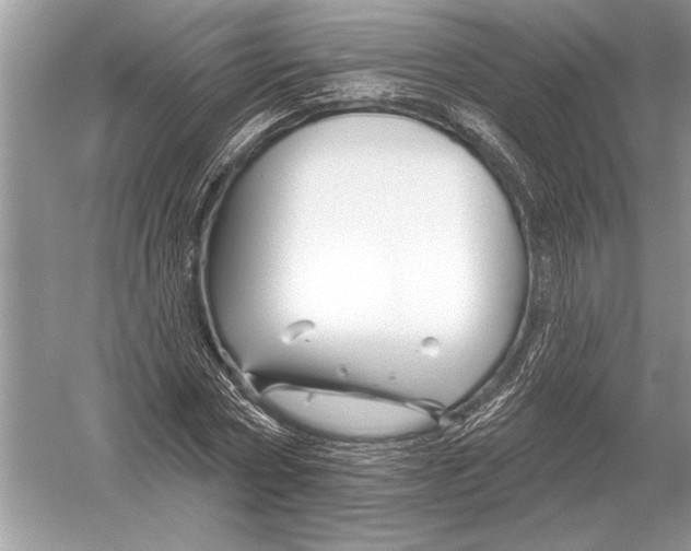 X0000051920778200507222133