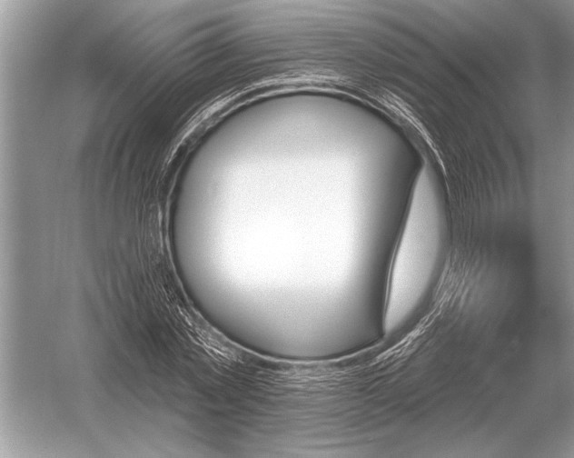 X0000051920781200507222133