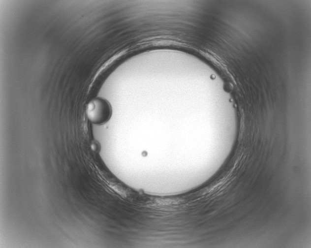 X0000051920782200507222133