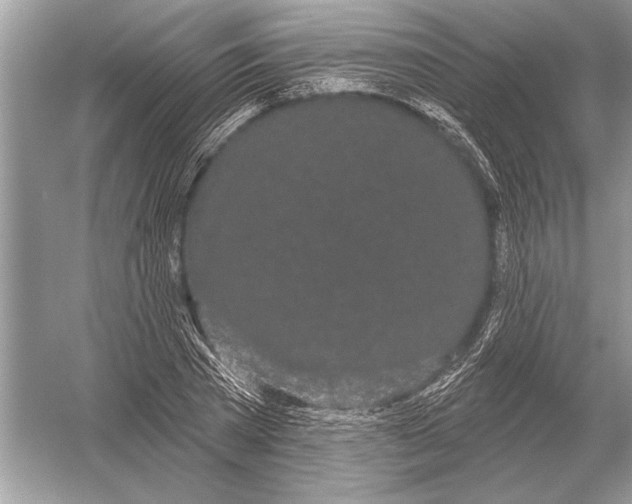 X0000051920785200507222133