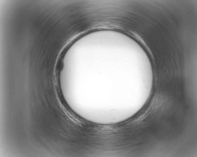 X0000051920787200507222133