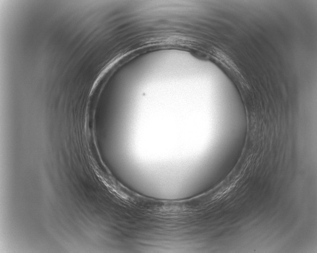 X0000051920788200507222133