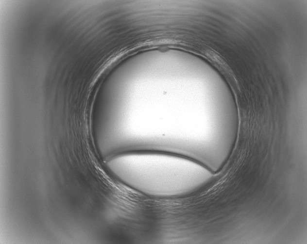 X0000051920789200507222133