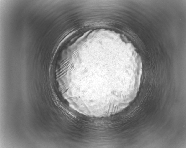 X0000051920790200507222133