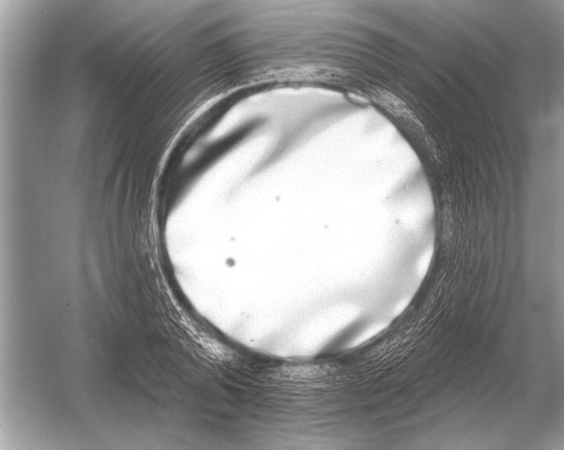 X0000051920792200507222133