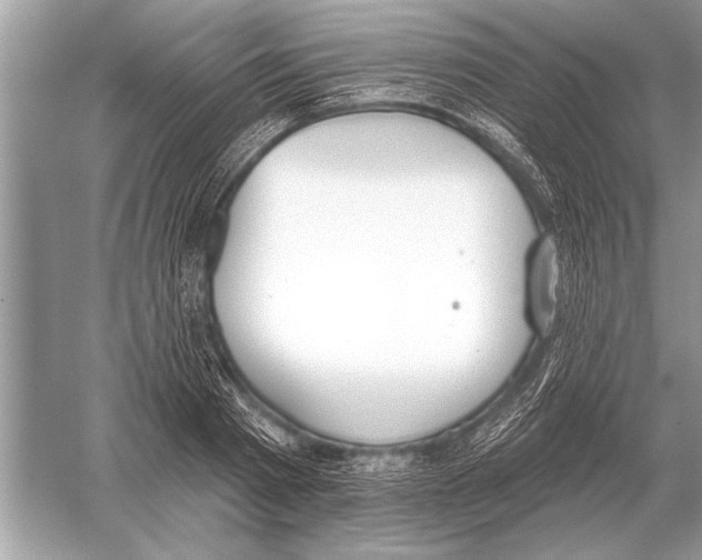 X0000051920793200507222133