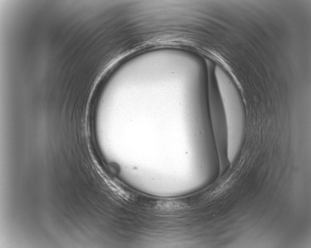 X0000051920795200507222133