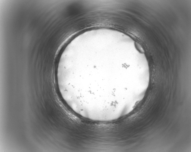 X0000051920796200507222133