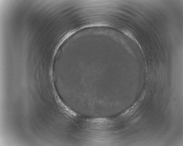 X0000051920797200507222133