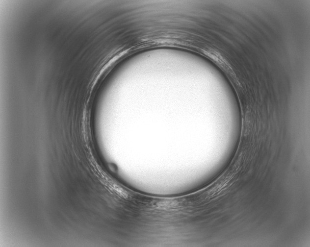 X0000051920798200507222133