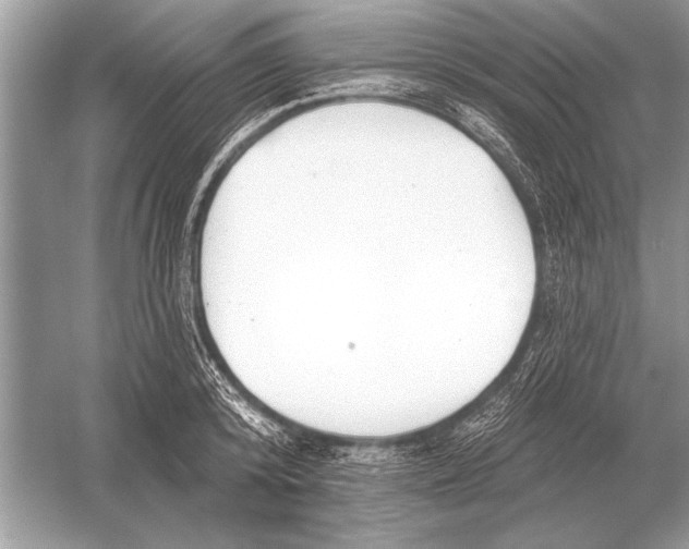 X0000051920800200507222133