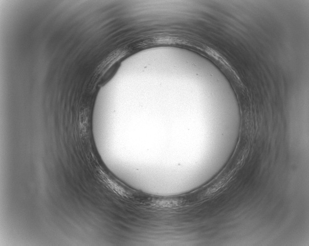 X0000051920801200507222133