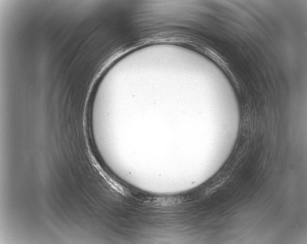 X0000051920803200507222133