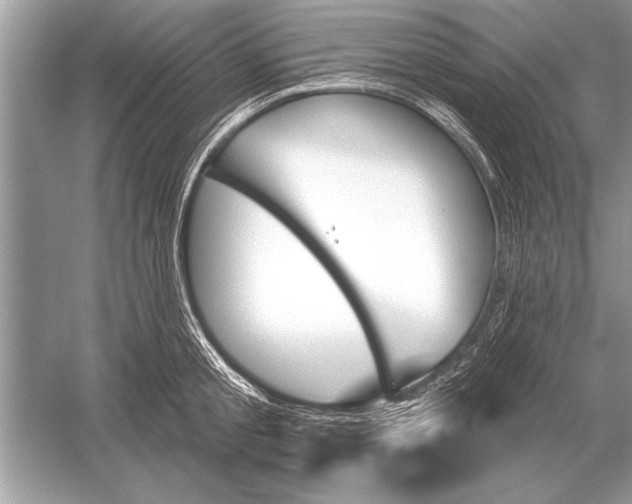 X0000051920805200507222133