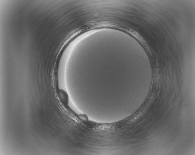 X0000051920806200507222133