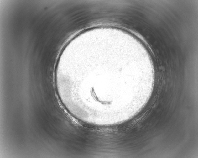 X0000051920807200507222133