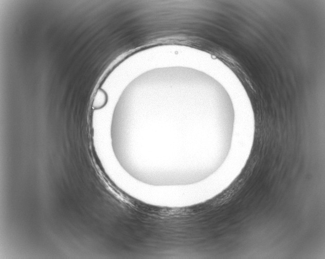 X0000051920808200507222133