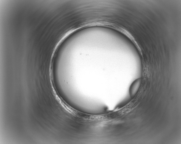 X0000051920811200507222133