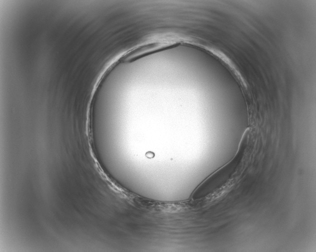 X0000051920815200507222133