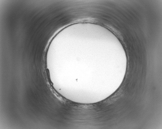 X0000051920816200507222133