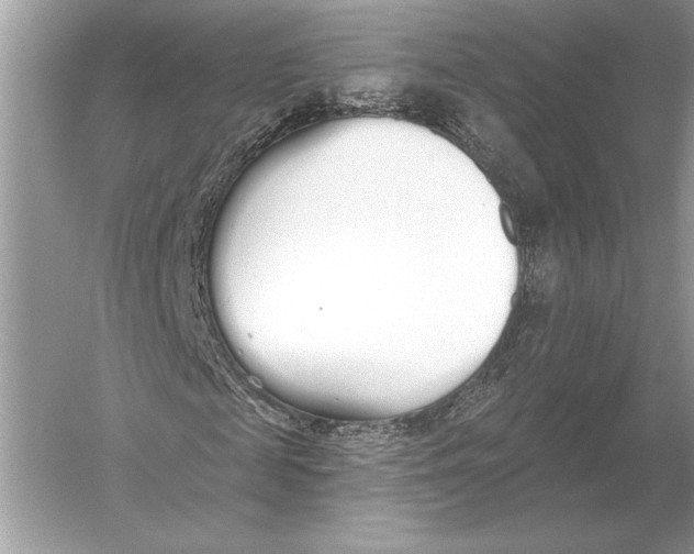 X0000051920817200507222132