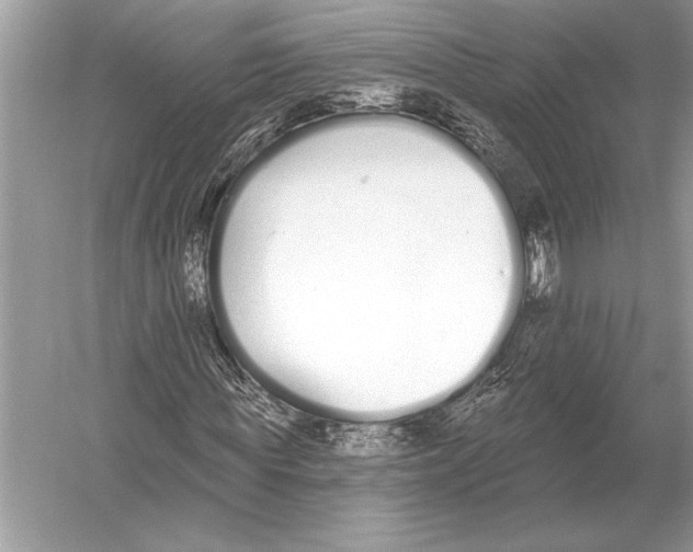 X0000051920819200507222132