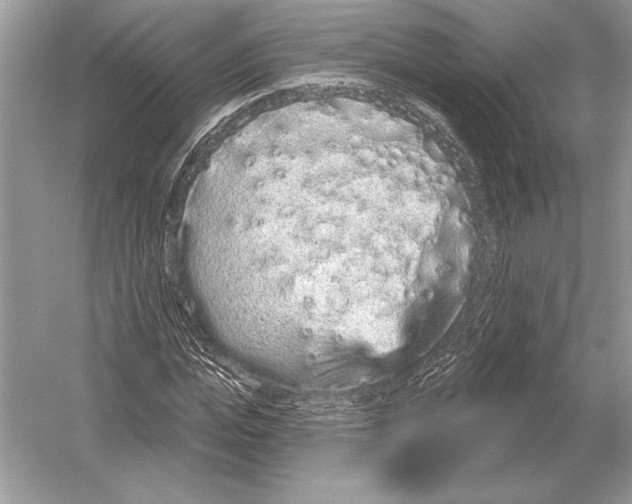 X0000051920823200507222132